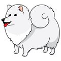 Signmission American Eskimo Dog Dog Decal, Dog Lover Decor Vinyl Sticker D-12-American Eskimo Dog